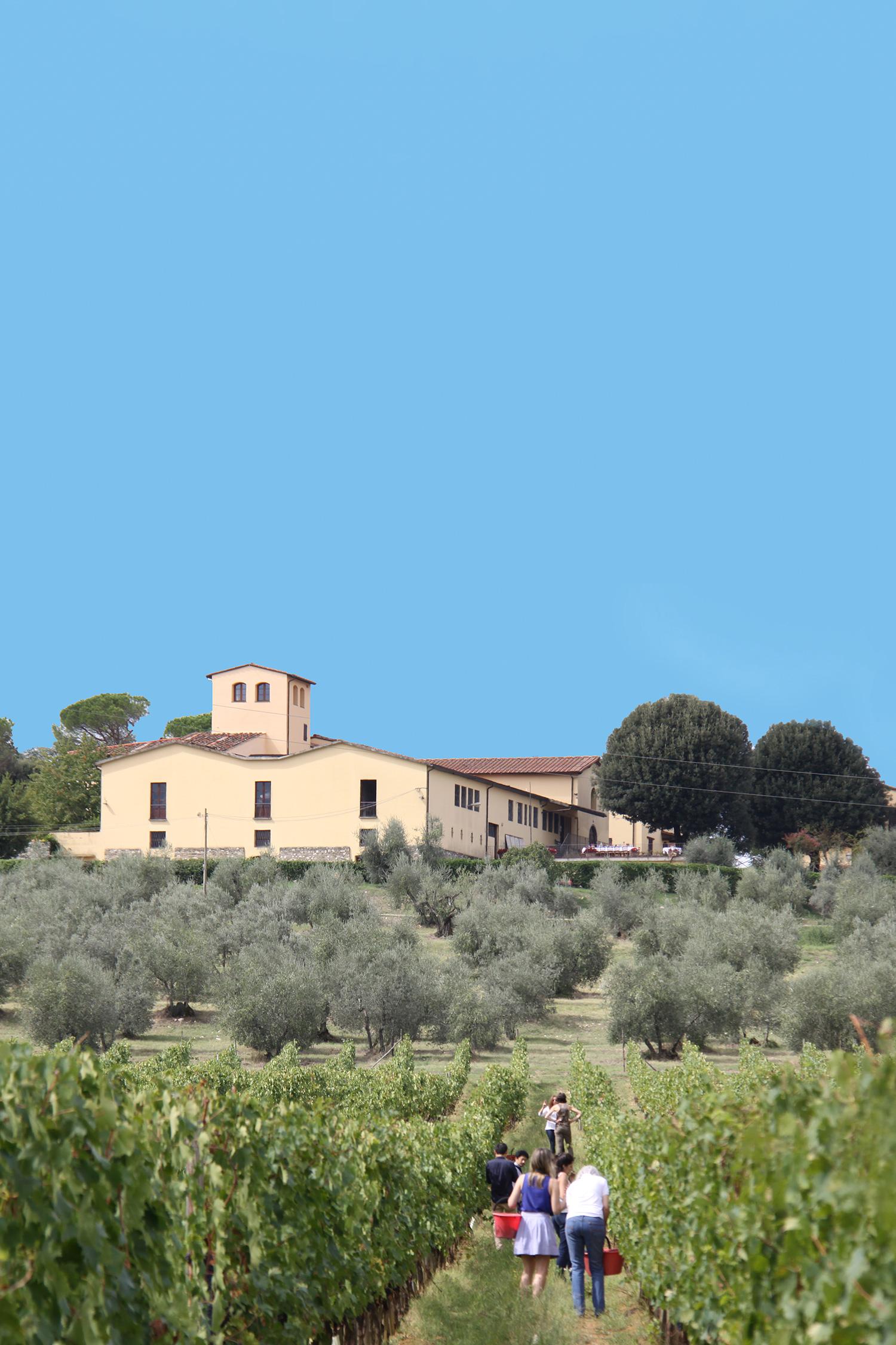 Sale of  Chianti | Fattoria Pagnana – on site sales of wine, Florence, Tuscany
