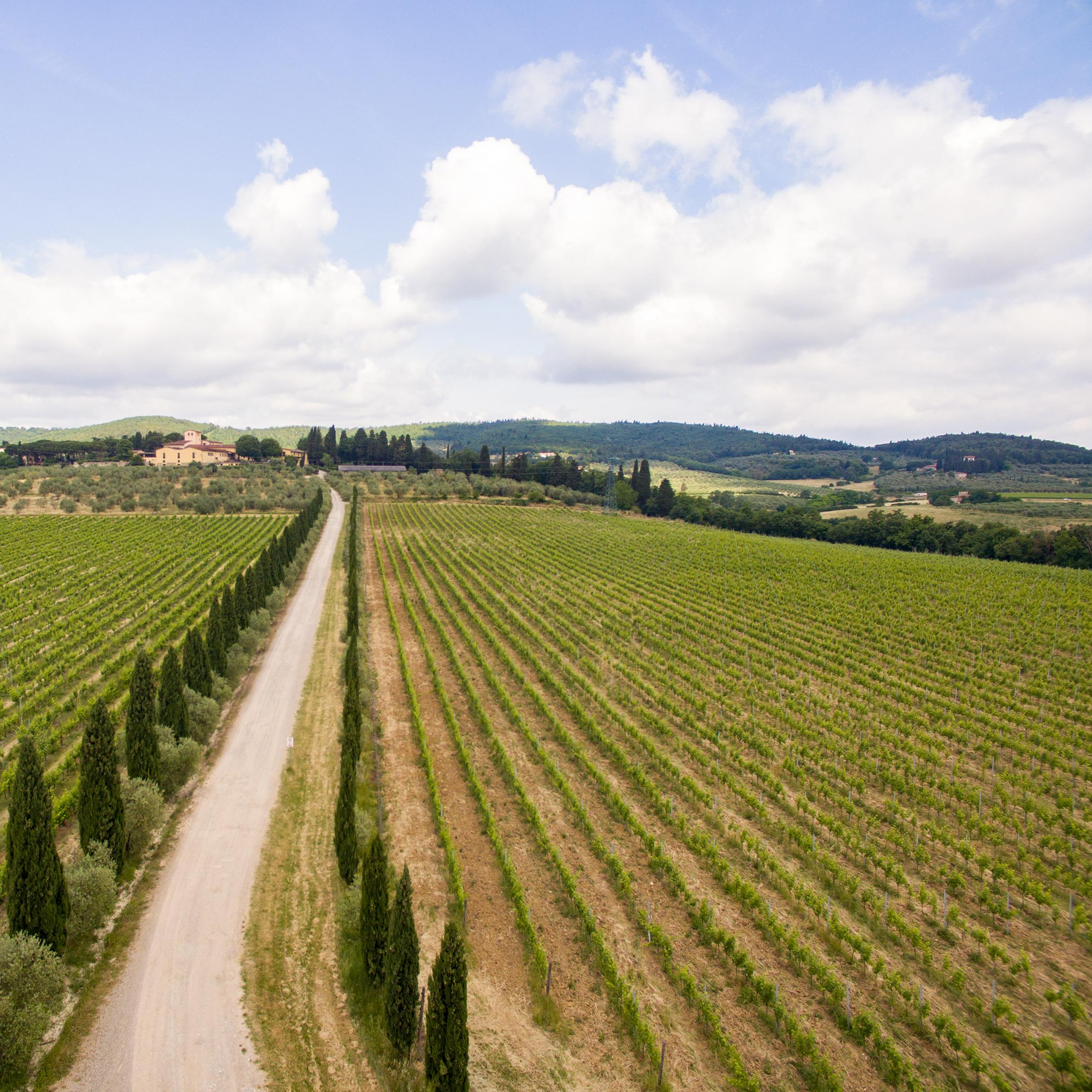 Sale of  Chianti | Fattoria Pagnana – on site sales of wine, Florence, Tuscany