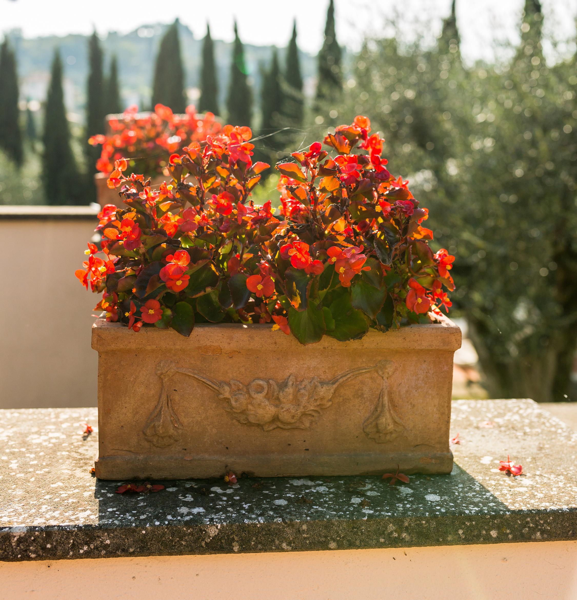 Agriturismo nel Chianti | Fattoria Pagnana, Appartamenti vacanze in Toscana